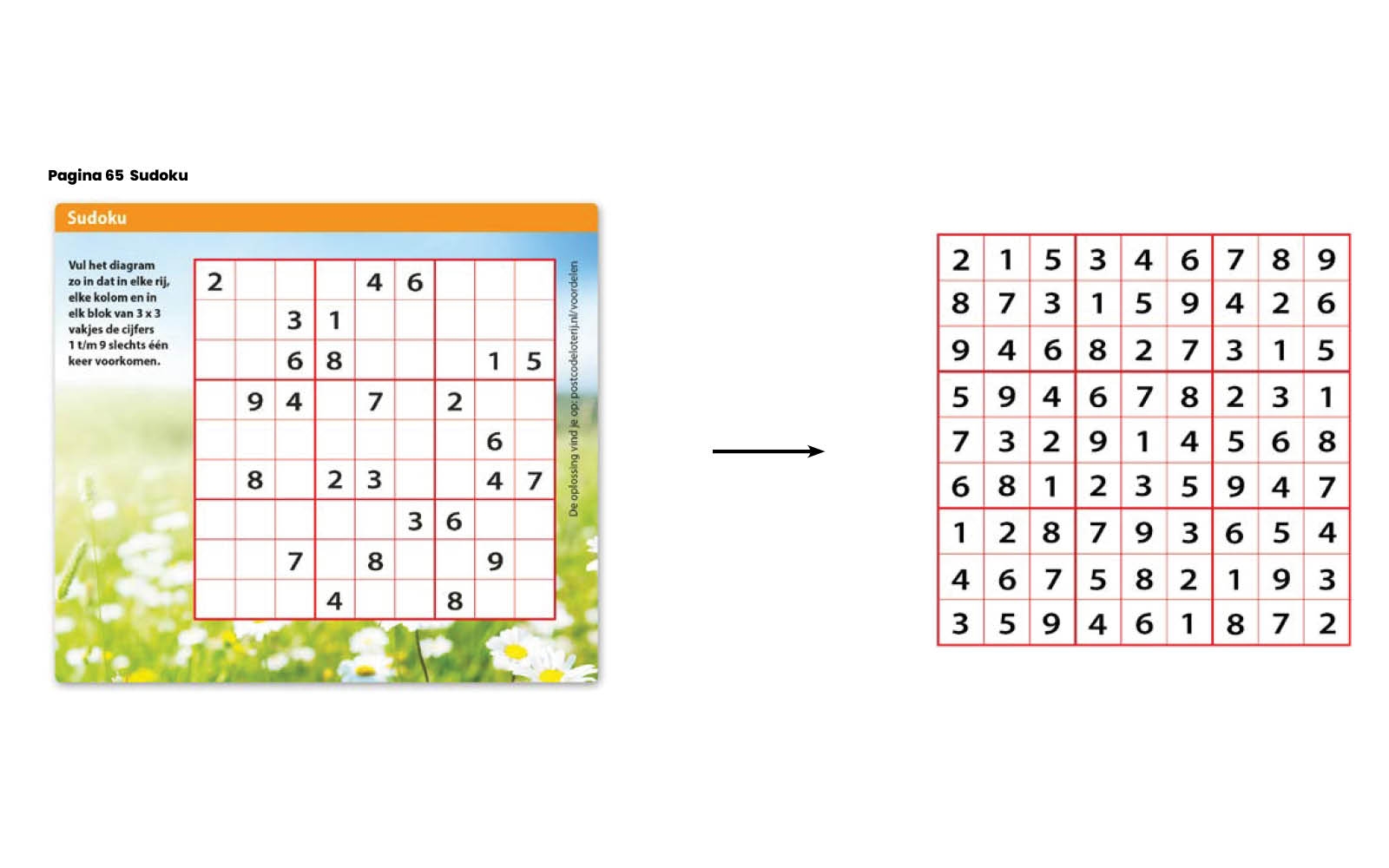 Puzzel pagina 65.jpg