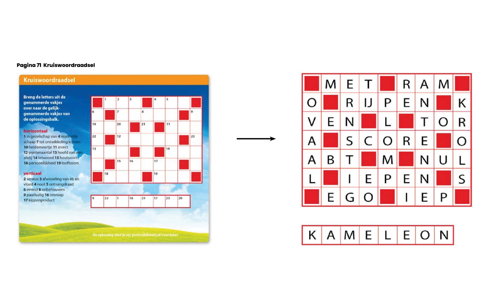 Puzzel pagina 71.jpg